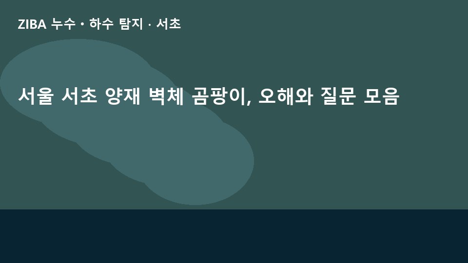 서울 서초 양재 벽체 곰팡이, 오해와 질문 모음