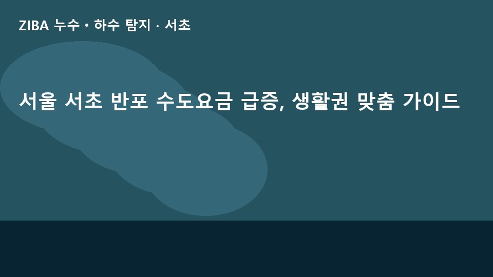서울 서초 반포 수도요금 급증, 생활권 맞춤 가이드