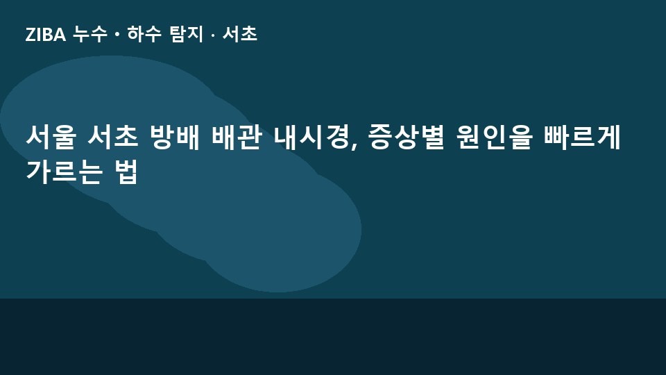 서울 서초 방배 배관 내시경, 증상별 원인을 빠르게 가르는 법