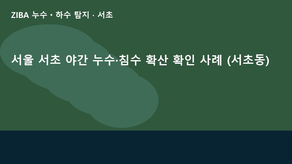 서울 서초 야간 누수·침수 확산 확인 사례 (서초동)