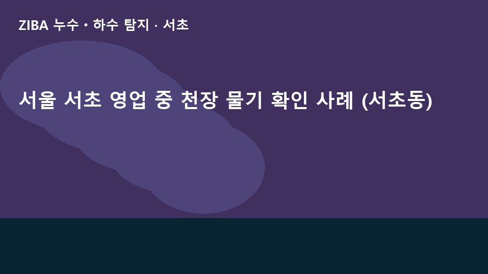 서울 서초 영업 중 천장 물기 확인 사례 (서초동)