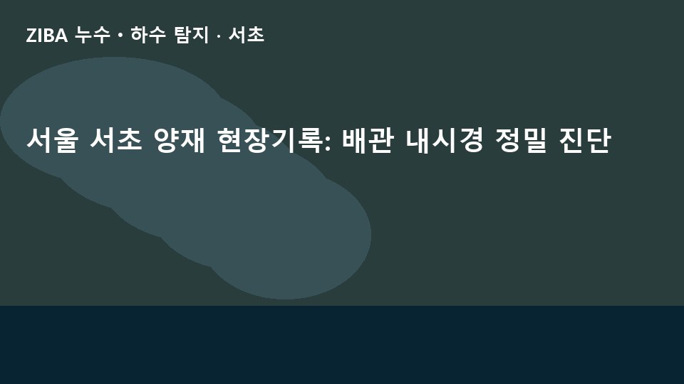 서울 서초 양재 현장기록: 배관 내시경 정밀 진단