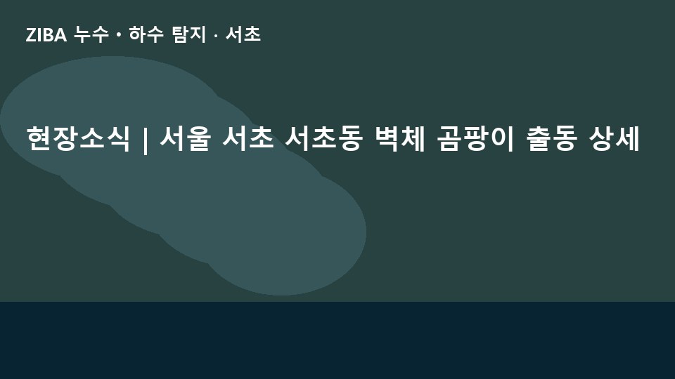현장소식 | 서울 서초 서초동 벽체 곰팡이 출동 상세